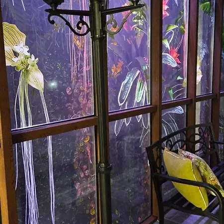 Hotel Arima